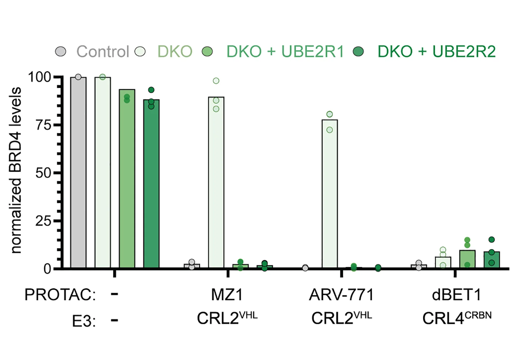 Open access visualization of Bar Plot, Scatter Plot, BRD4 Protein Levels, PROTACs, CRL (E3)