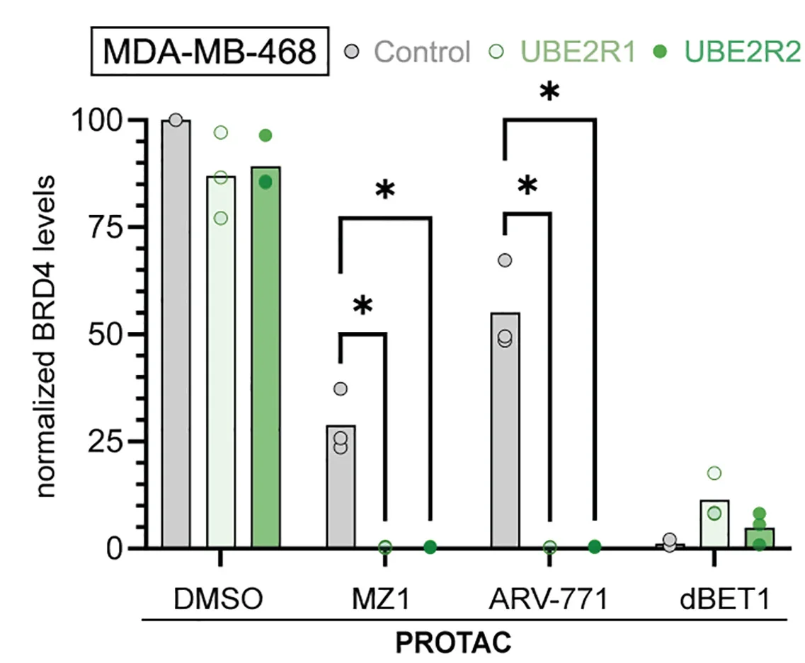 Open access visualization of Bar Plot, Scatter Plot, Error Bars, Graphical Representation, BRD4 Levels
