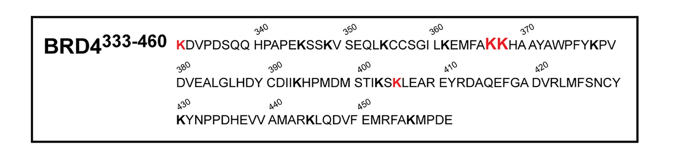 Open access visualization of Illustration, Amino Acid Sequence, BRD4, Neo-substrate, Lys Residues