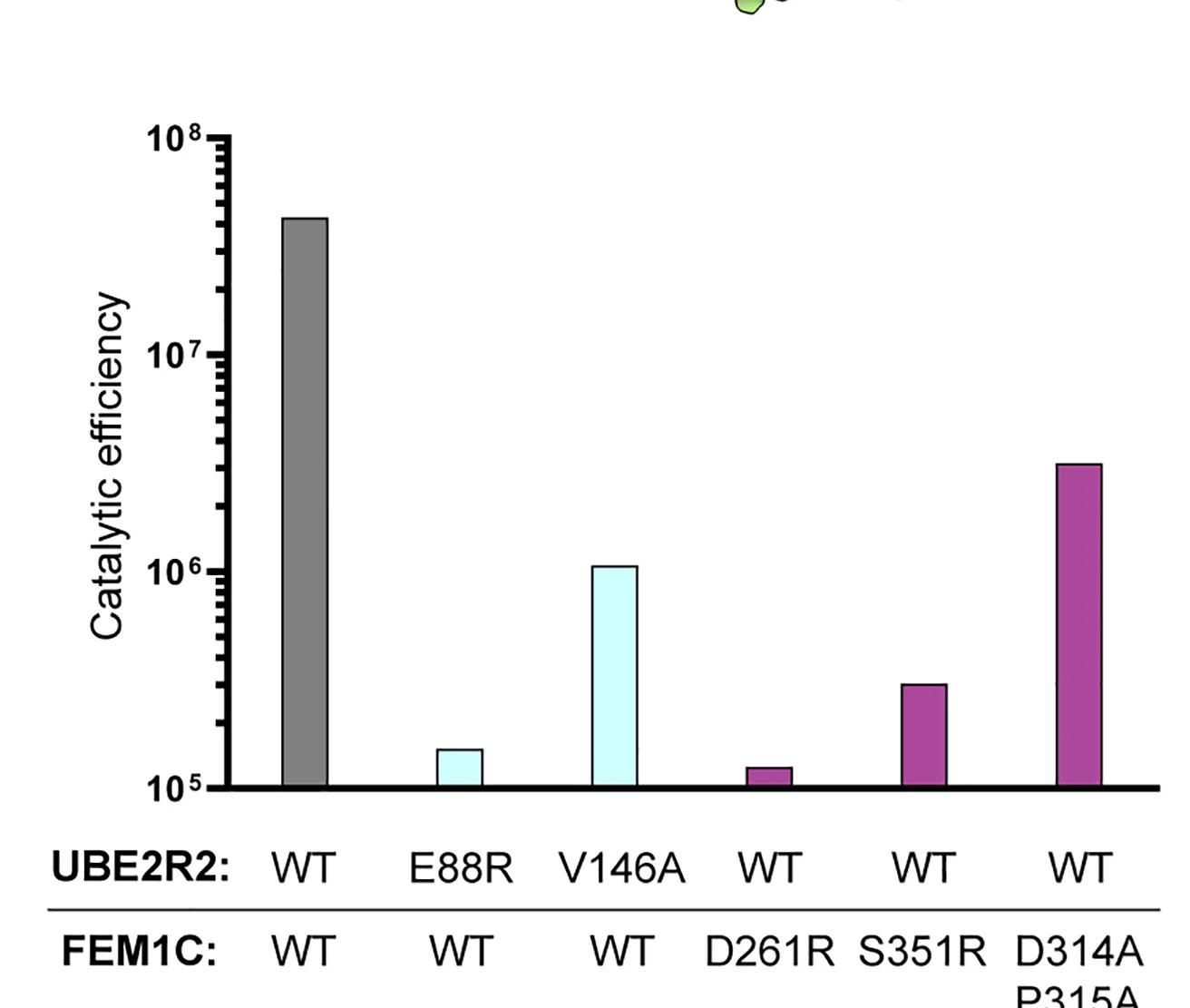 Open access visualization of Bar Plot, Bar Graph, Catalytic Efficiency, Wild-Type Components, UBE2R2