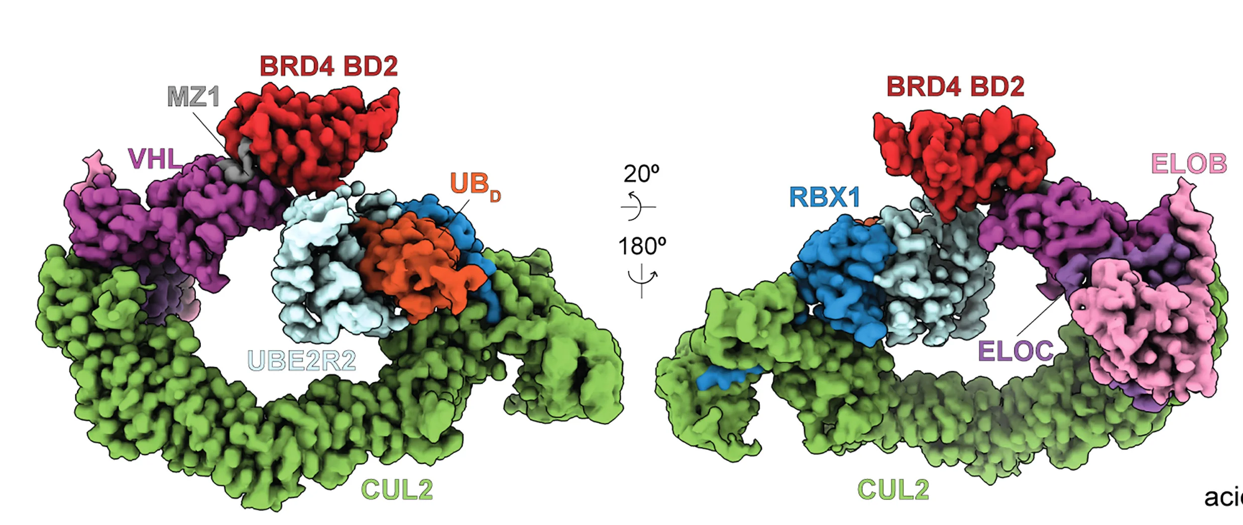 Open access visualization of Protein Structure, DeepEMhancer, Cryo-EM, CRL2VHL, BRD4