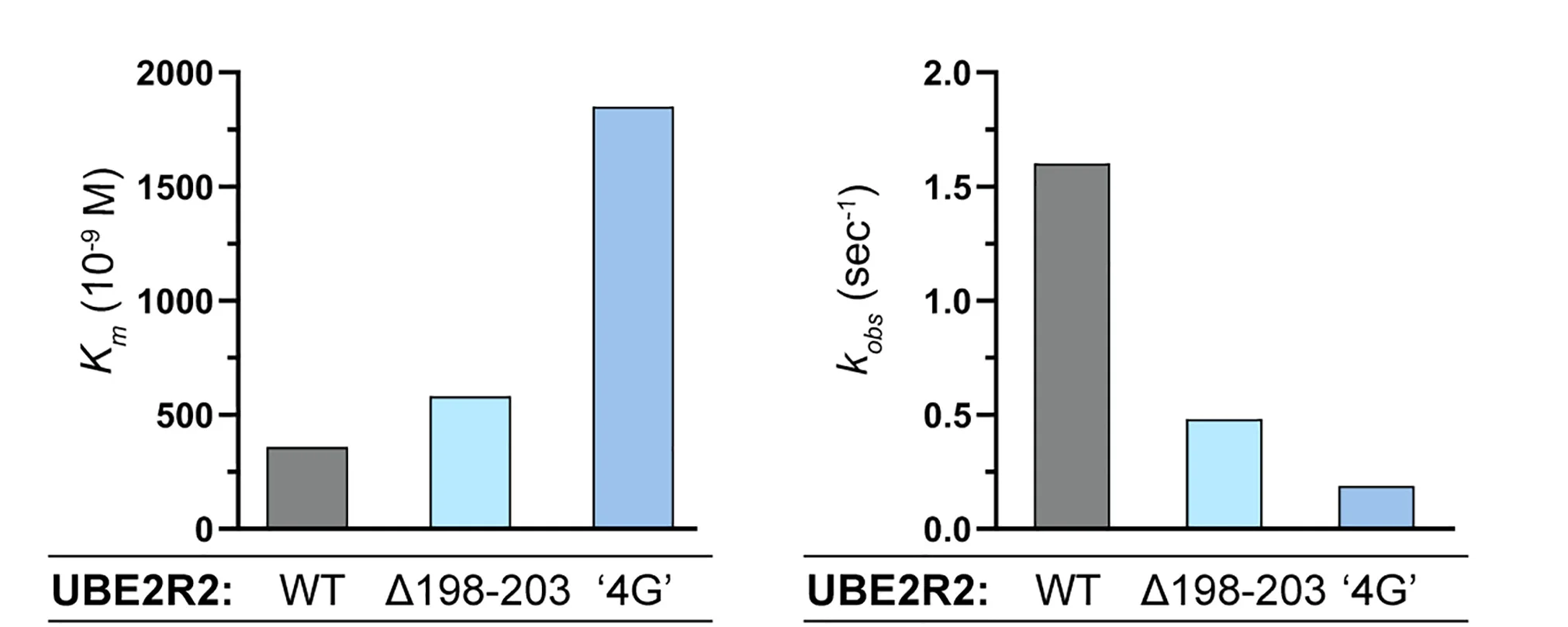Open access visualization of Bar Plot, UBE2R2, Acidic Tail, Mutants, CRL2VHL