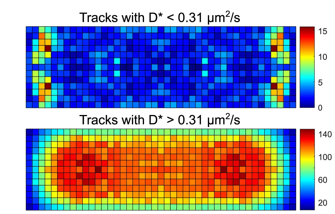 Open access visualization of Heatmap, Spatial Distribution, NusG Tracks, Heatmaps, Nucleoids