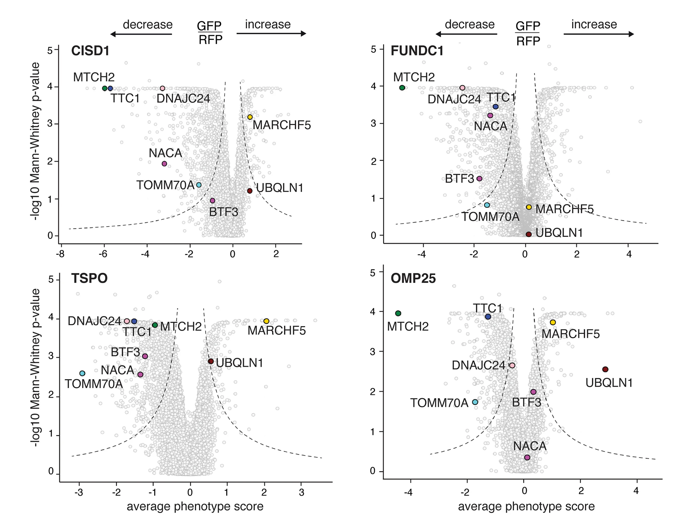 Open access visualization of Volcano Plot, Scatter Plot, Volcano Plots, CRISPRi FACS Screens, Genes