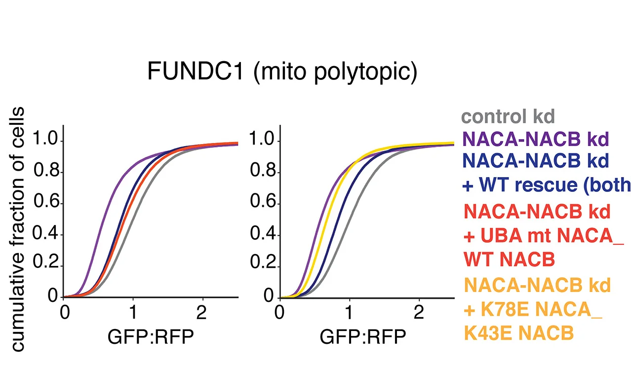 Open access visualization of Line Plot, Flow Cytometry, Polytopic Reporter, FUNDC1, CDF Plots