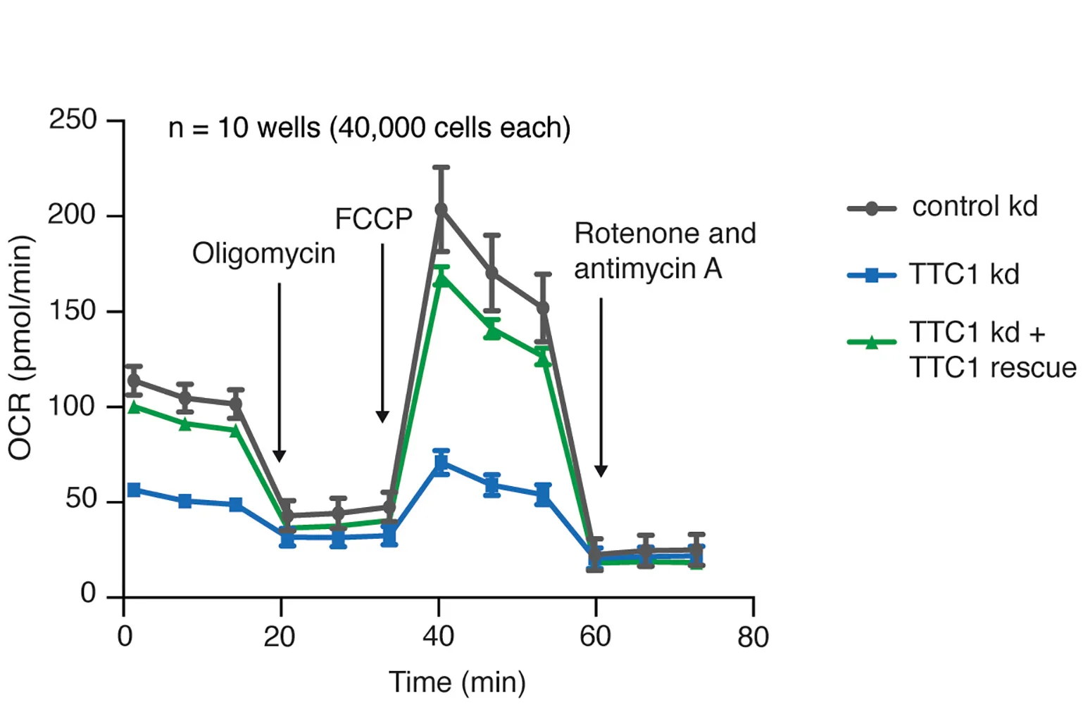 Open access visualization of Line Plot, Error Bars, Mitochondrial Respiration, Oxygen Consumption Rate, Seahorse Assay