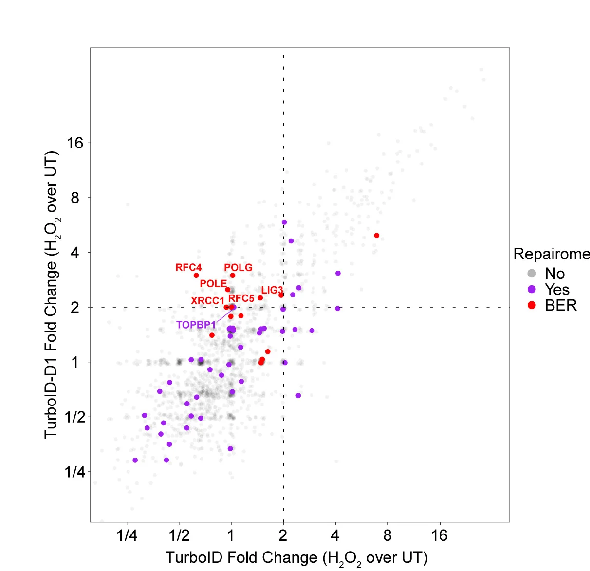 Open access visualization of Scatter Plot, Volcano Plot, U-2OS Cells, Hydrogen Peroxide, TurboID