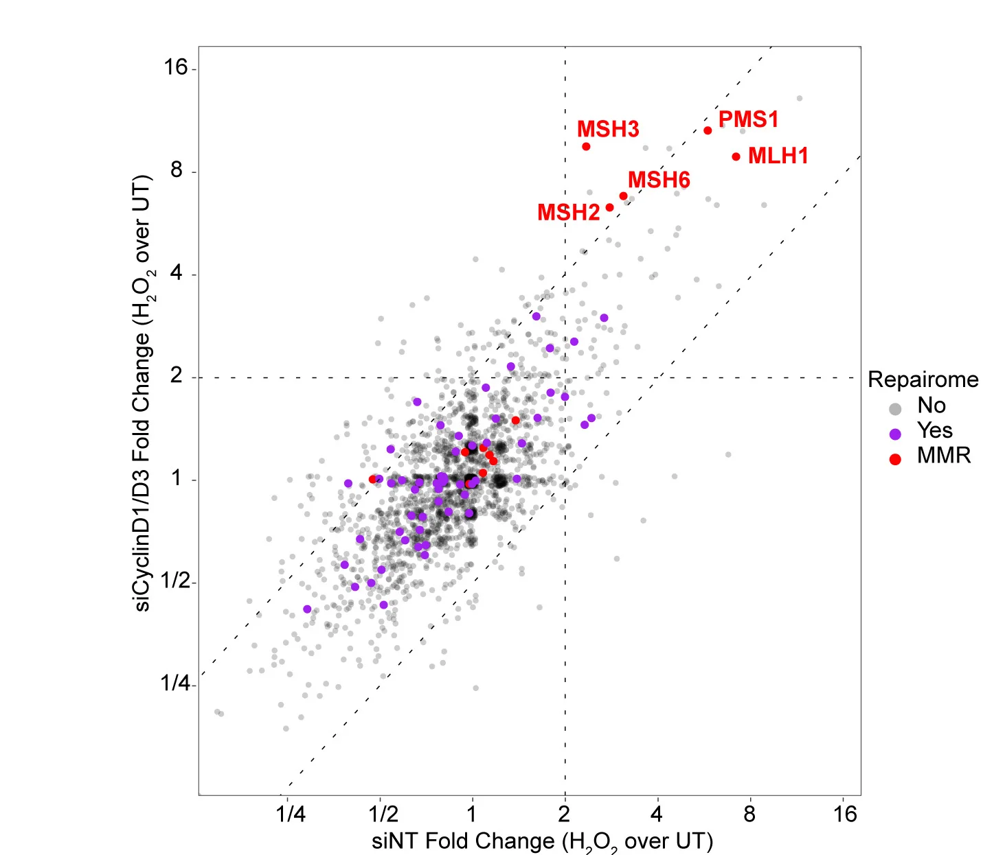 Open access visualization of Scatter Plot, Volcano Plot, RPE1 Cells, TurboID-PCNA, siRNA