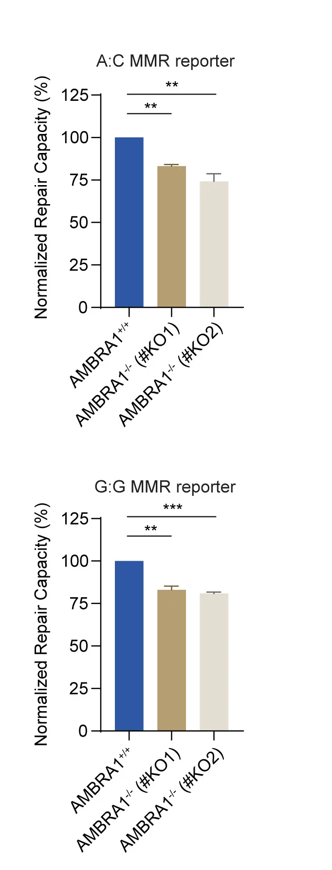 Open access visualization of Bar Plot, Error Bars, S-Phase, RPE1 Cells, Nucleoporation