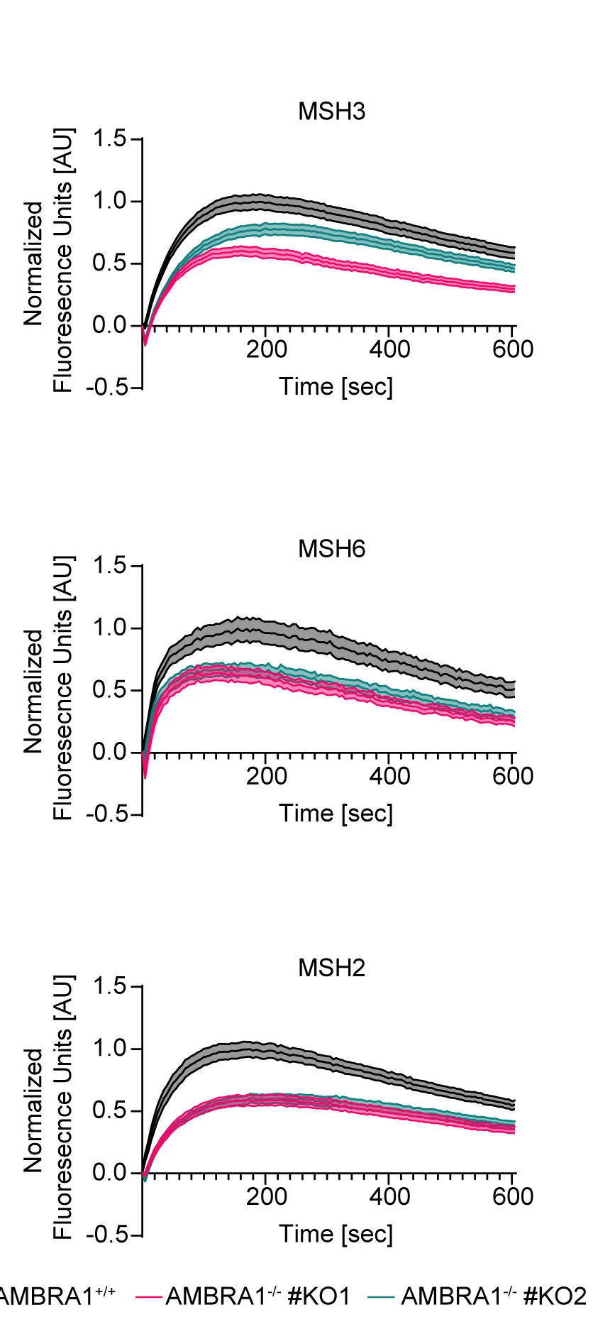 Open access visualization of Line Plot, Error Bars, DNA Damage, Recruitment Dynamics, Live-Cell Imaging