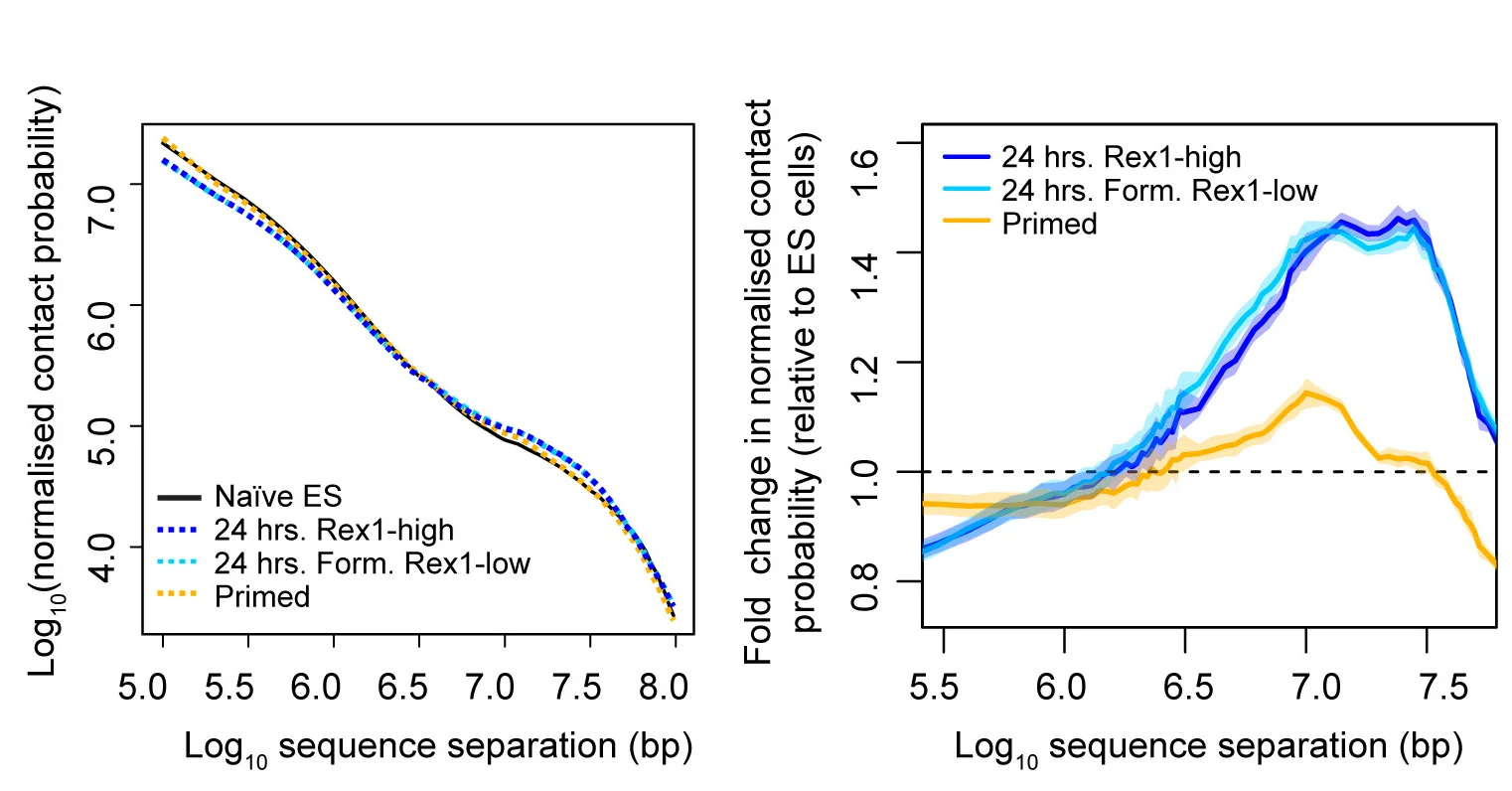 Open access visualization of Line Plot, Error Bars, Hi-C Experiments, Contact Probability, Intra-chromosomal Sequence Separation