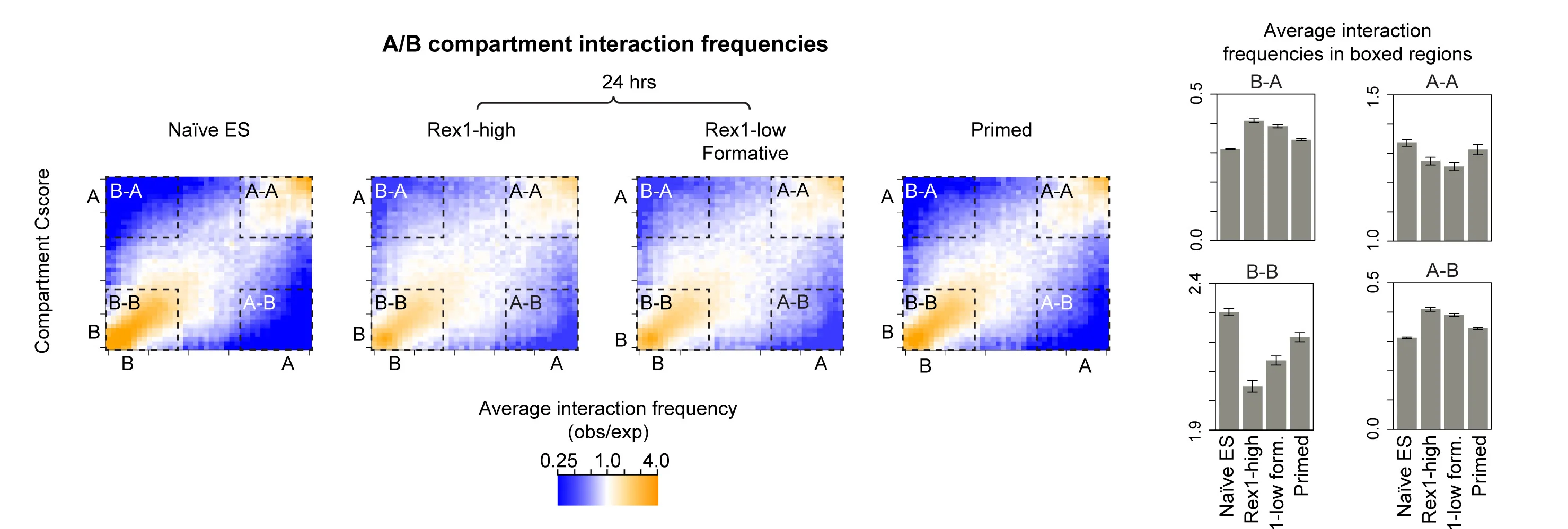 Open access visualization of Heatmap, Bar Plot, Error Bars, Saddle Plots, A/B Compartment