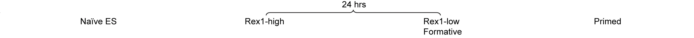 Open access visualization of Workflow, Flowchart, 3D Genome Structure, G1 Phase, Chromosomes