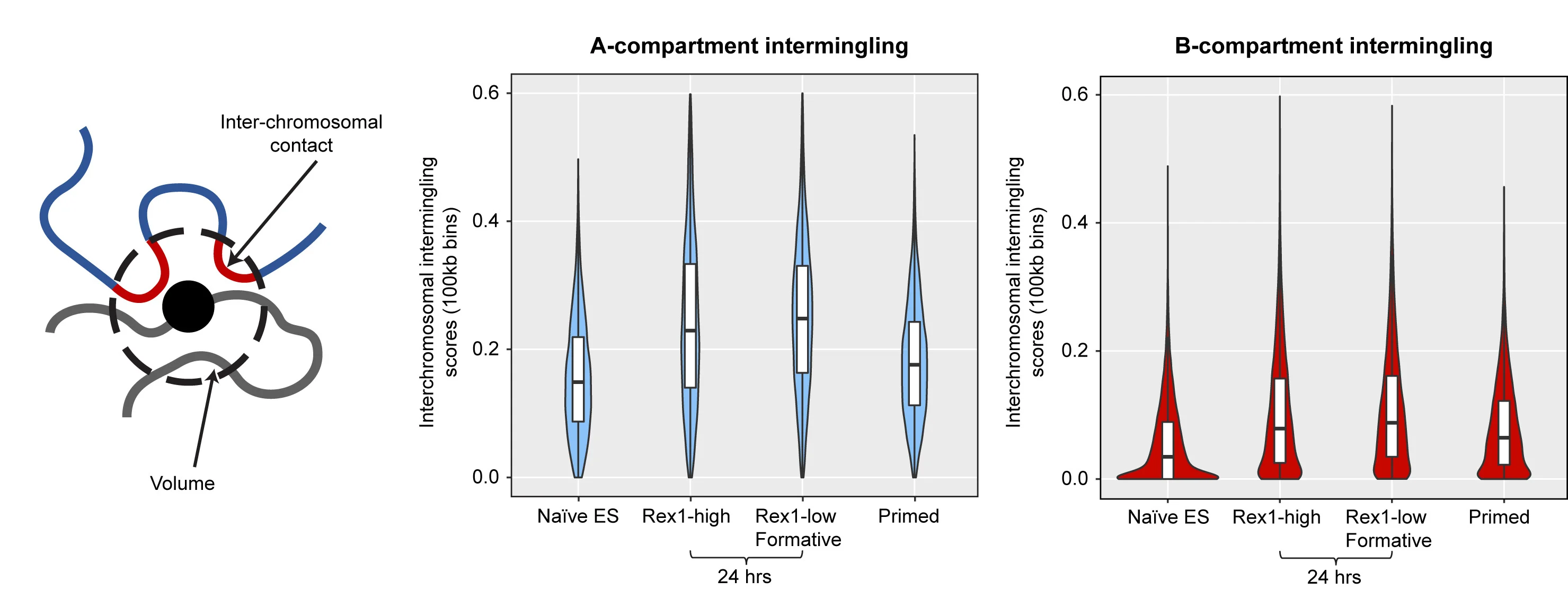 Open access visualization of Violin Plot, Box Plot, Intermingling Score, 3D Genome Structure, Chromosomes