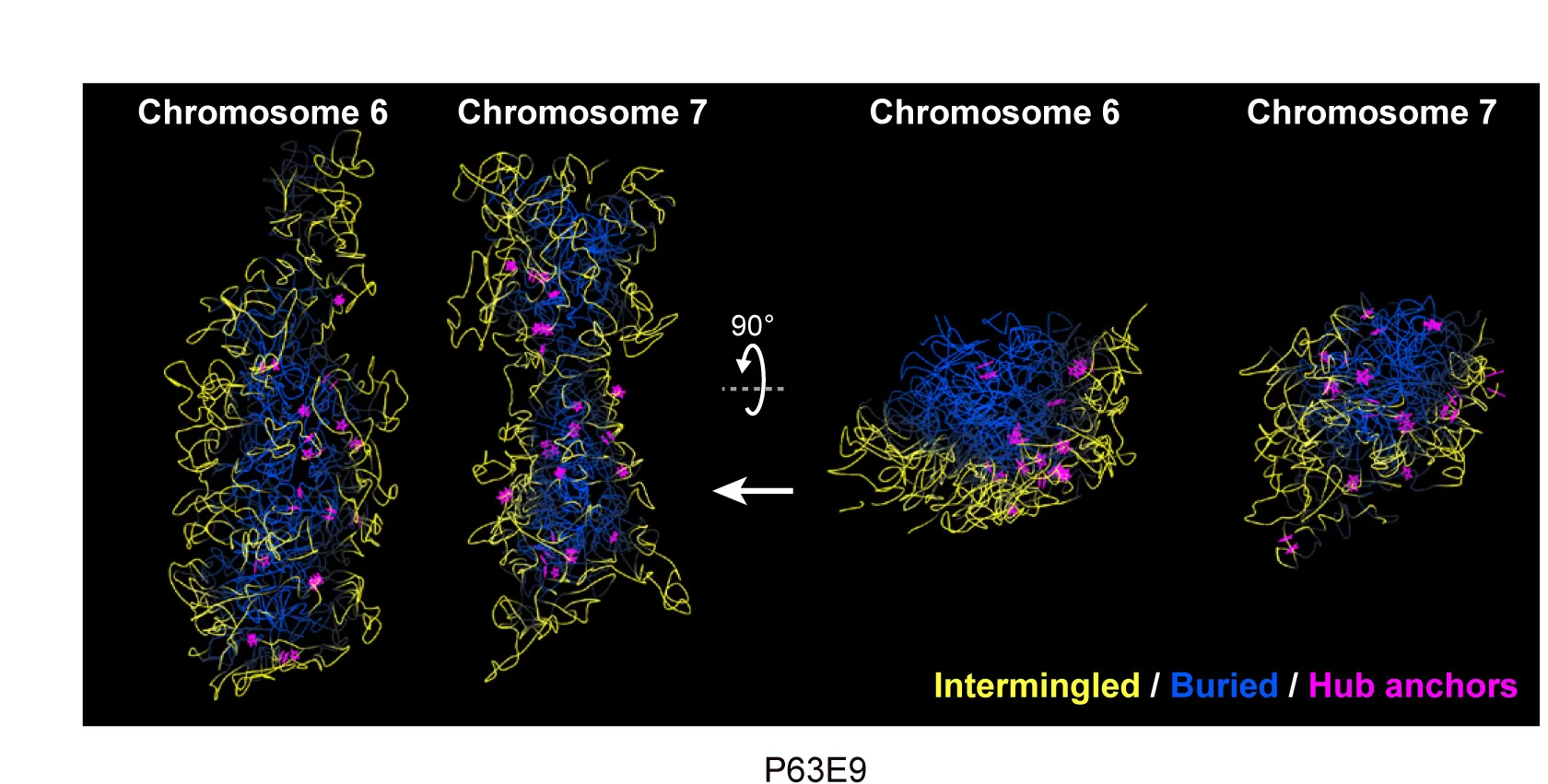 Open access visualization of Protein Structure, Chemical Structure, Chromosomes, 3D Structure, Rex1-low Formative State Cell