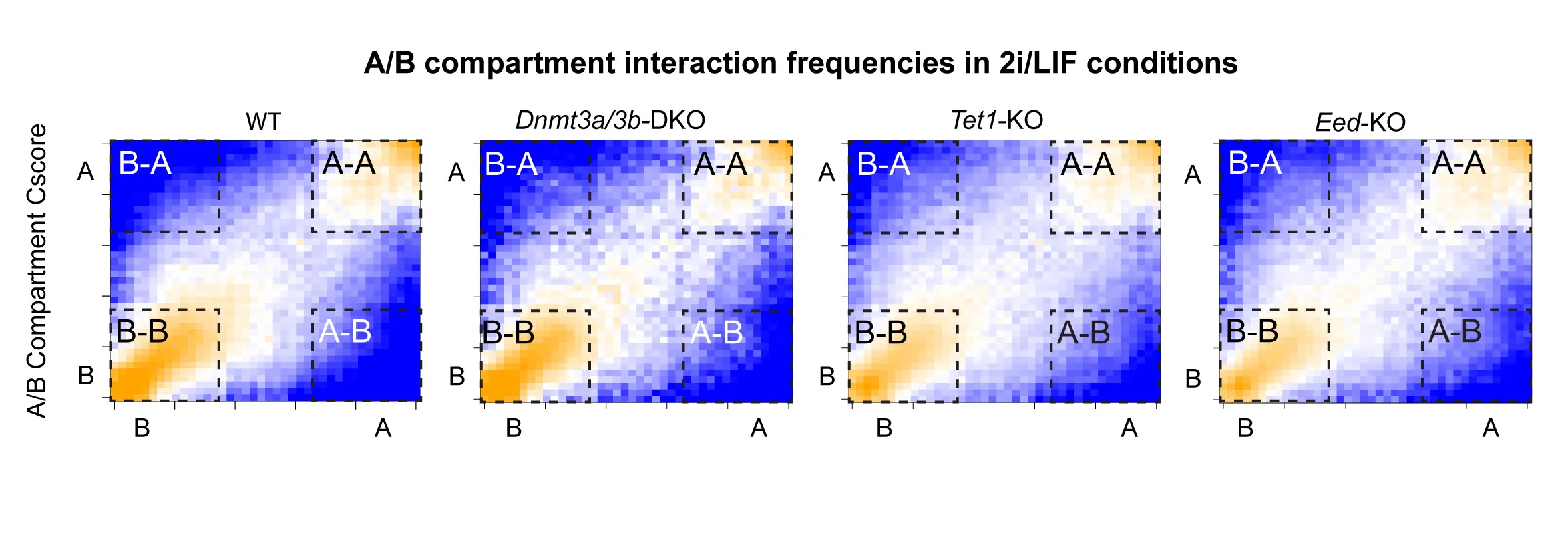 Open access visualization of Heatmap, Saddle Plots, A/B Compartments, Interaction Frequencies, Cscores