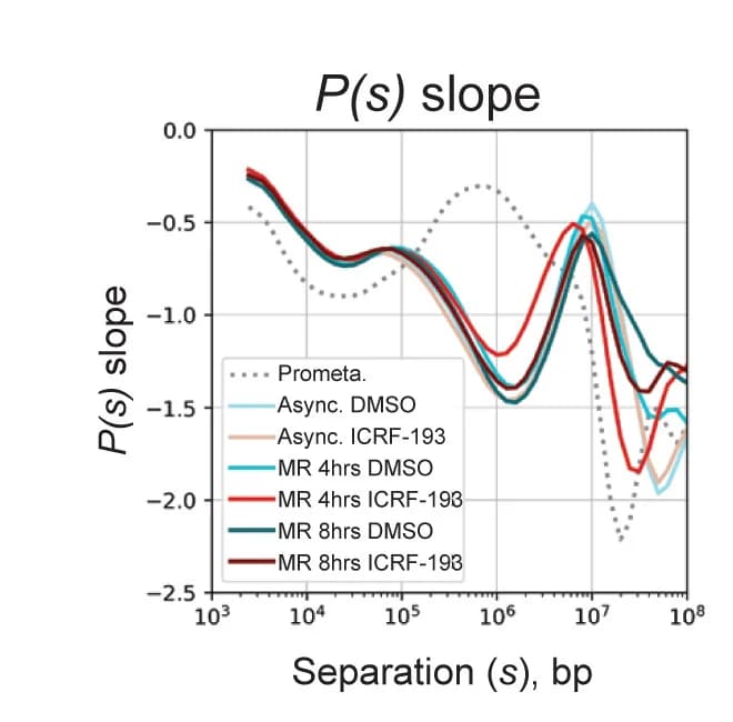 Open access visualization of Line Plot, First Derivative, Slope, P(s) Scaling Plot