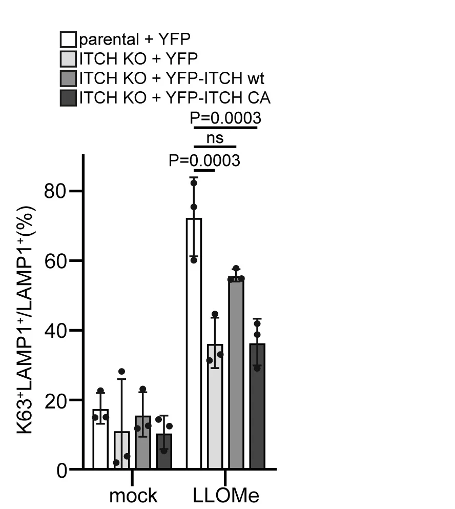 Open access visualization of Bar Plot, Error Bars, ITCH, Autoubiquitylation, SPG20