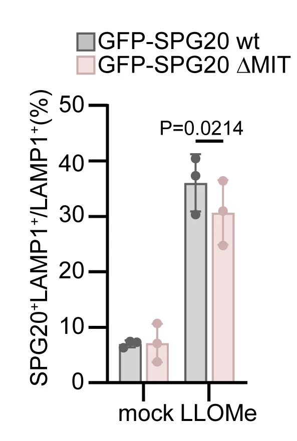 Open access visualization of Bar Plot, Error Bars, Scatter Plot, Clustered, Quantification