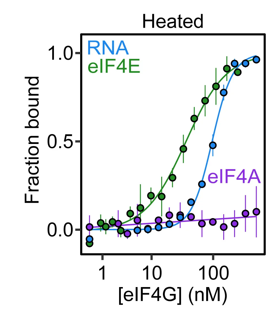Open access visualization of Line Plot, Error Bars, eIF4G, eIF4EFITC, eIF4ATAMRA