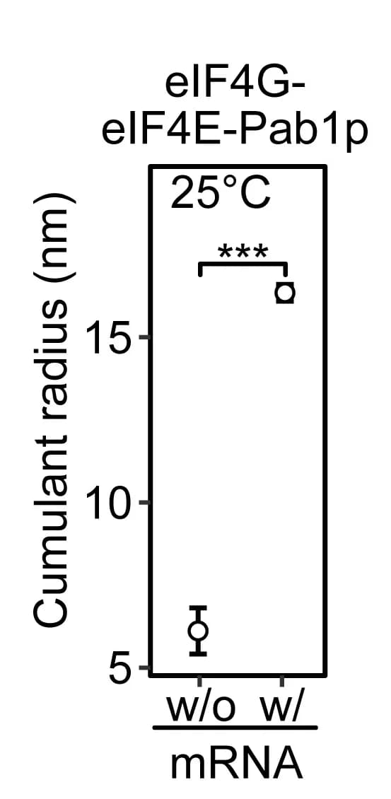 Open access visualization of Error Bars, Bar Plot, Cumulant Radius, eIF4G, eIF4E
