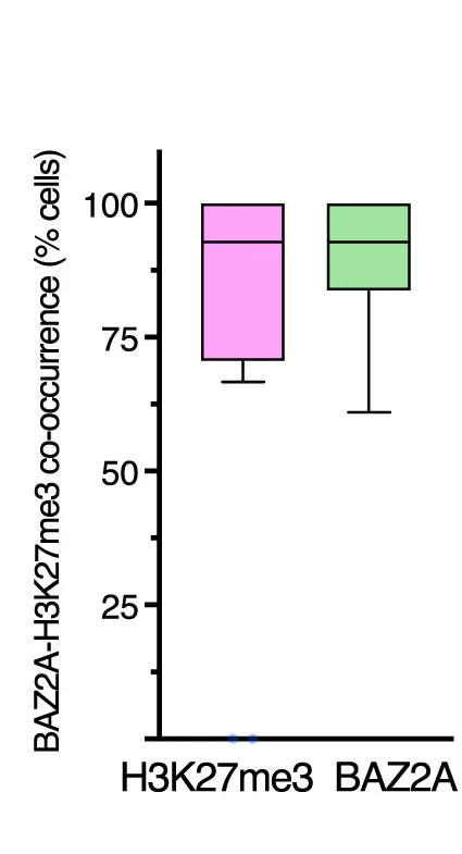 Open access visualization of Box Plot, ESC, Embryonic Stem Cells, H3K27me3 Bodies, BAZ2A Bodies