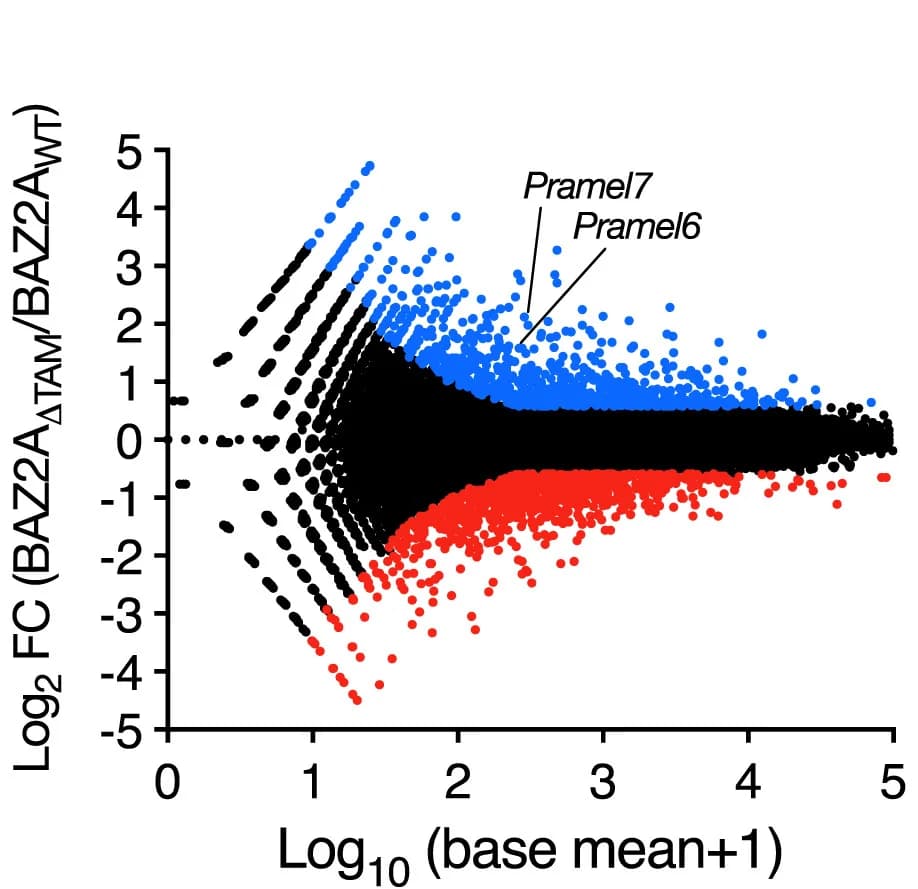 Open access visualization of Scatter Plot, Volcano Plot, Transcript Levels, ESC, BAZ2A