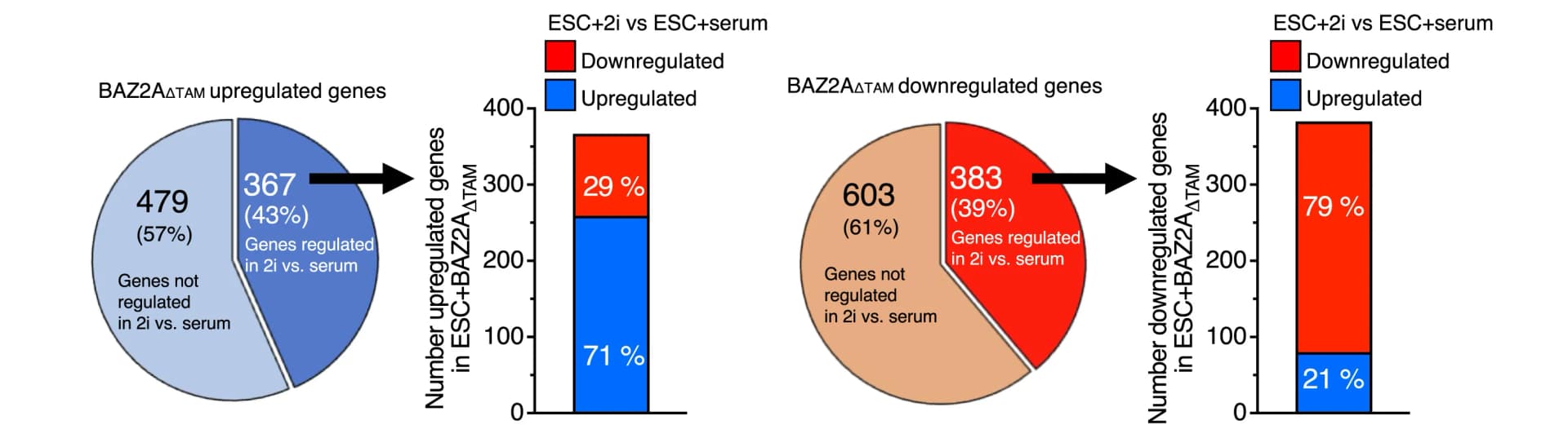 Open access visualization of Bar Plot, Pie Chart, Stacked Bar Plot, Quantifications, Genes