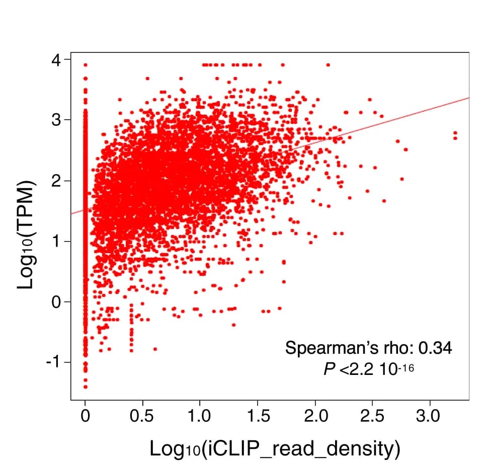 Open access visualization of Scatter Plot, Regression Plot, Scatterplot, Gene Expression, BAZ2A-iCLIP Read Density