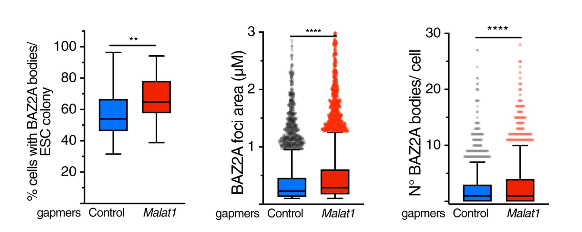 Open access visualization of Box Plot, Scatter Plot, Violin Plot, BAZ2A Bodies, ESC