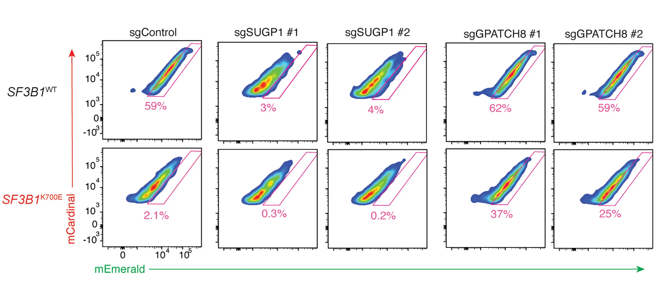 Open access visualization of Scatter Plot, Flow Cytometry, SUGP1, GPATCH8, Splicing