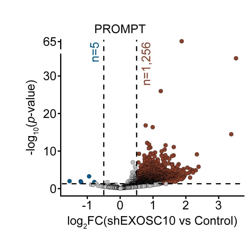 Open access visualization of Volcano Plot, Log2Fold-Change, Statistical Significance, Wald Test, 4sU-RNA Levels