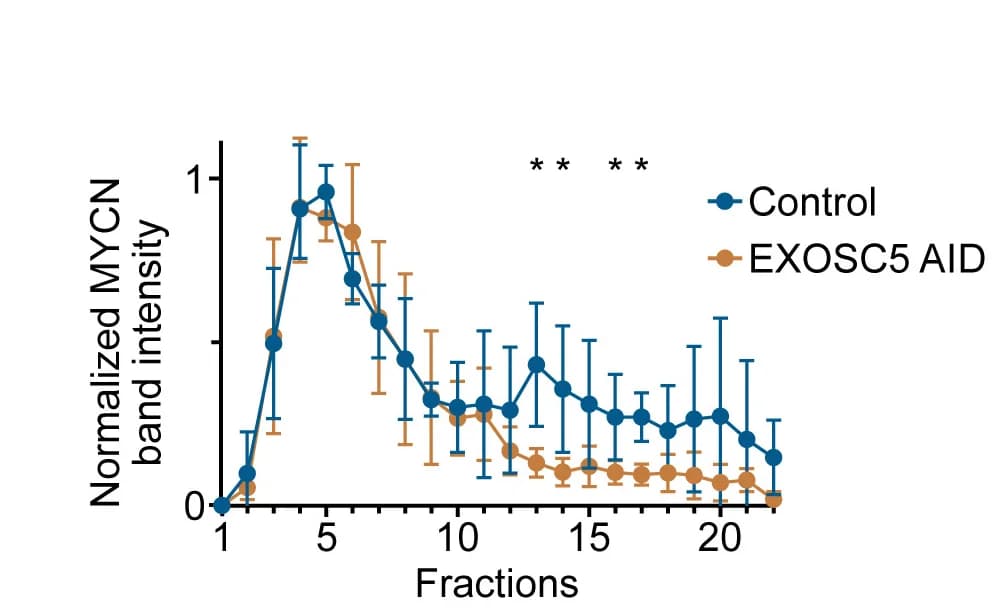 Open access visualization of Line Plot, Error Bars, MYCN, Band Intensities, Immunoblots