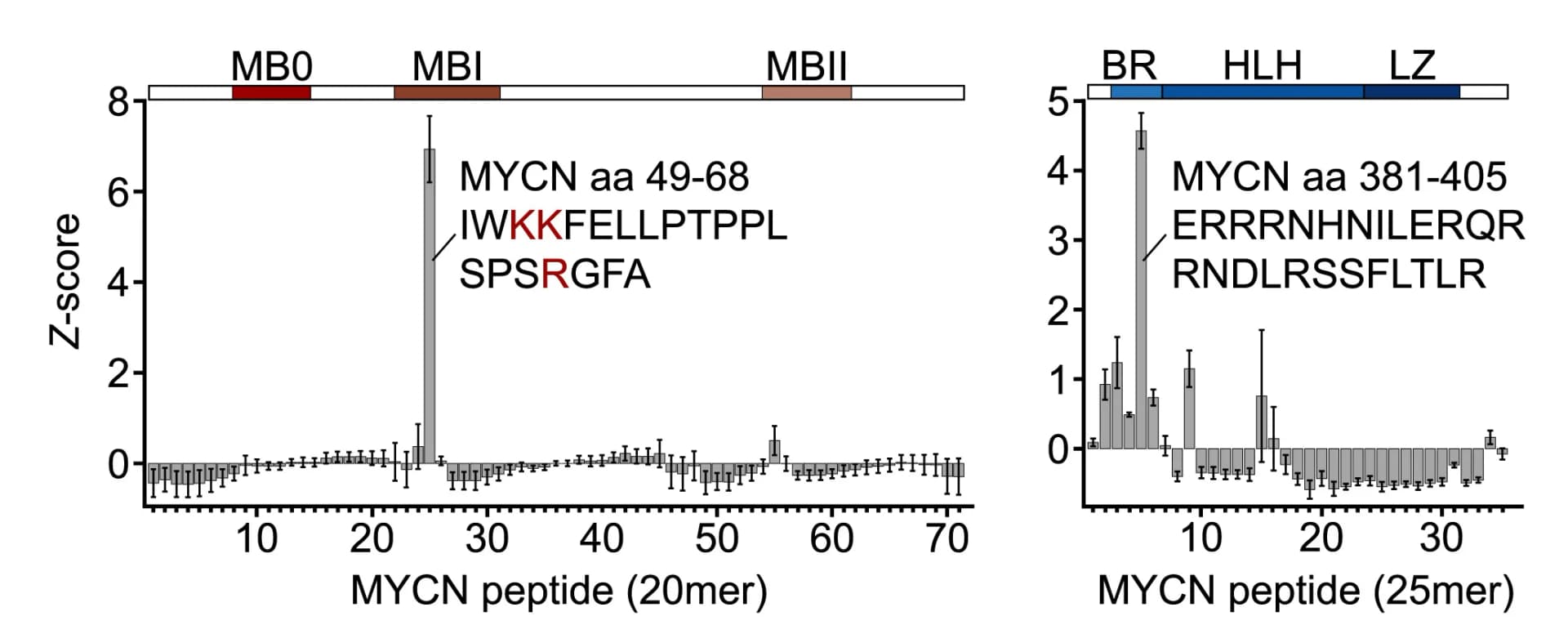 Open access visualization of Bar Plot, Error Bars, Amino Acids, MYCN, RNA Binding