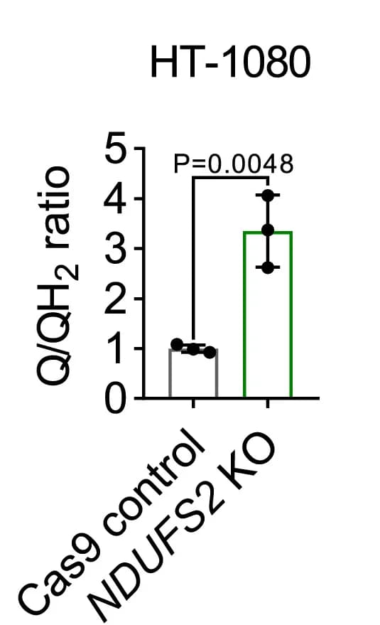 Open access visualization of Bar Plot, Error Bars, CoQ/CoQH2 Ratio, Cas9 Control, NDUFS2KO