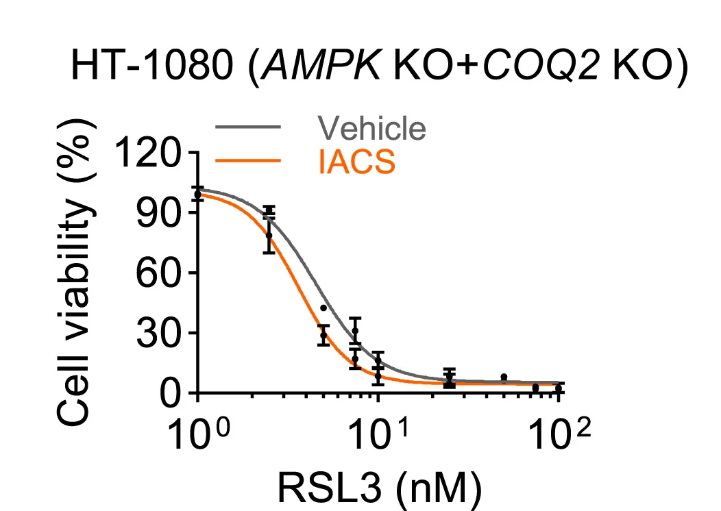 Open access visualization of Line Plot, Error Bars, Oxygen Consumption Rate, HT-1080 Cells, IACS-010759