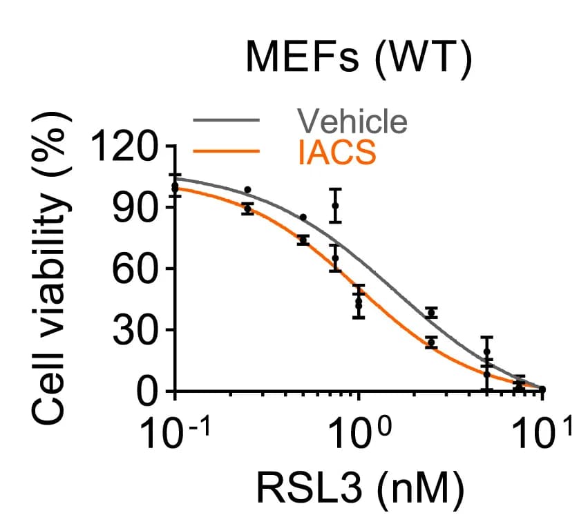 Open access visualization of Line Plot, Error Bars, Cell Viability, WT MEFs, Vehicle