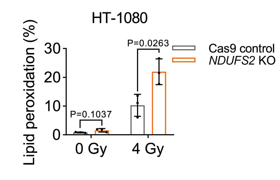 Open access visualization of Bar Plot, Error Bars, Clustered, Lipid Peroxidation, Cas9 Control