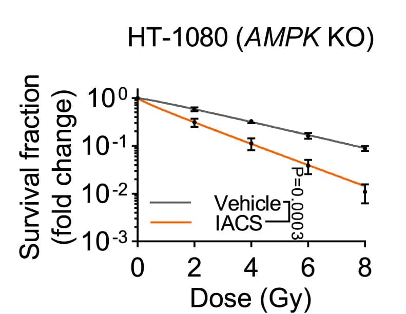 Open access visualization of Line Plot, Error Bars, Survival Fraction, AMPKKO, HT-1080 Cells