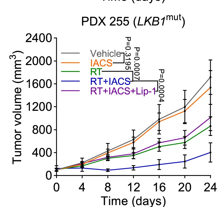 Open access visualization of Line Plot, Error Bars, Tumor Volumes, PDX 255, Treatments