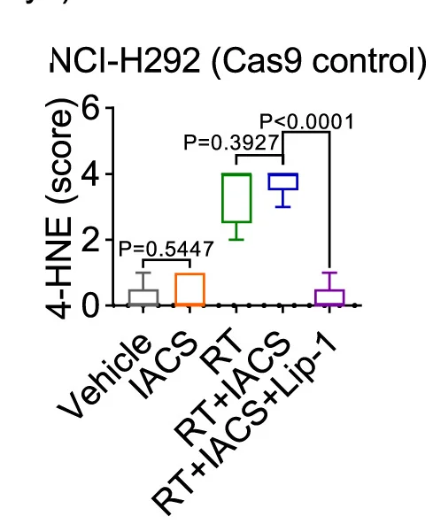 Open access visualization of Box Plot, Immunochemistry, 4-HNE Staining, NCI-H292 Xenograft, Tumors