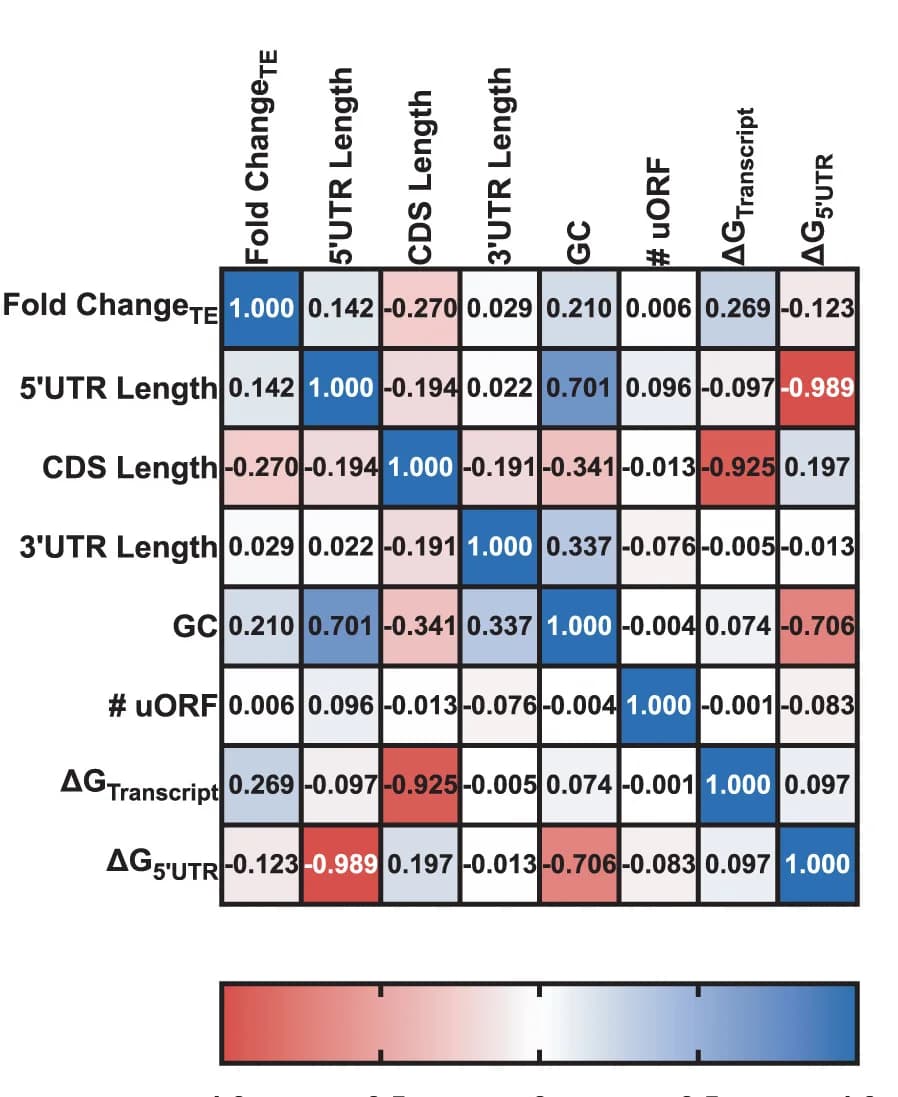 Open access visualization of Heatmap, Pearson Correlation Matrix, Translational Efficiency