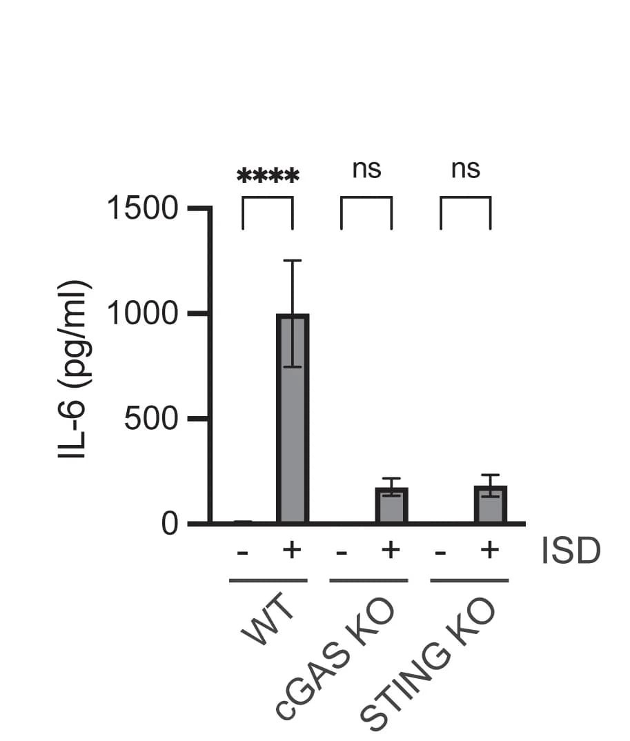 Open access visualization of Bar Plot, Error Bars, Quantification, IL-6 Expression, ISD Transfection