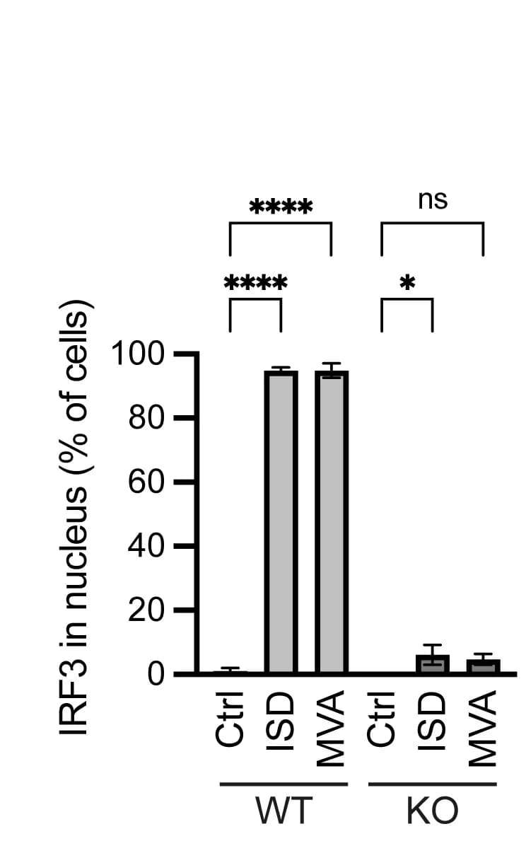 Open access visualization of Bar Plot, Error Bars, IRF3, Nuclear Localization, HeLa WT