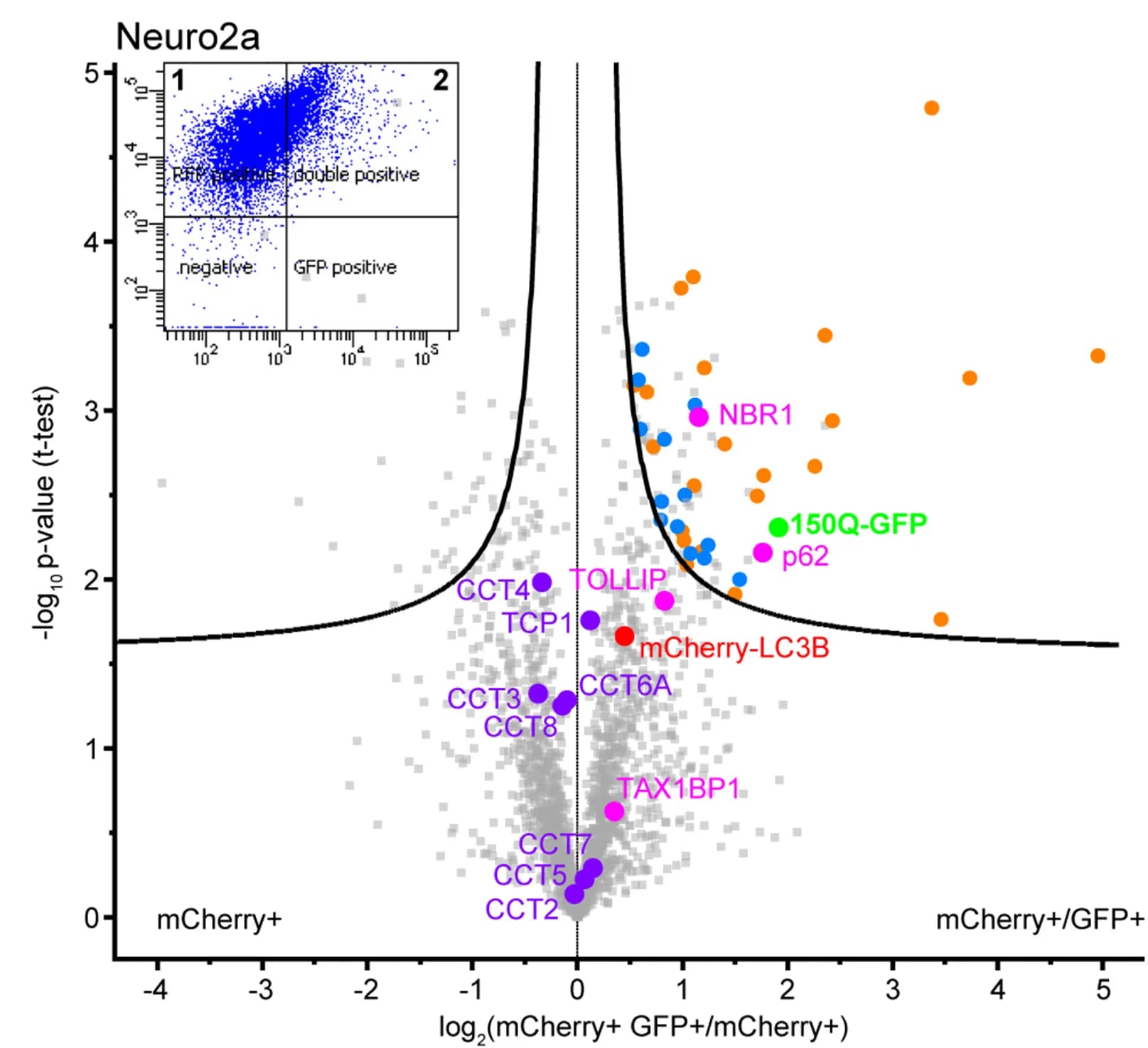 Open access visualization of Volcano Plot, Scatter Plot, Label-Free Quantitative Mass Spectrometry, Vesicles, mCherry