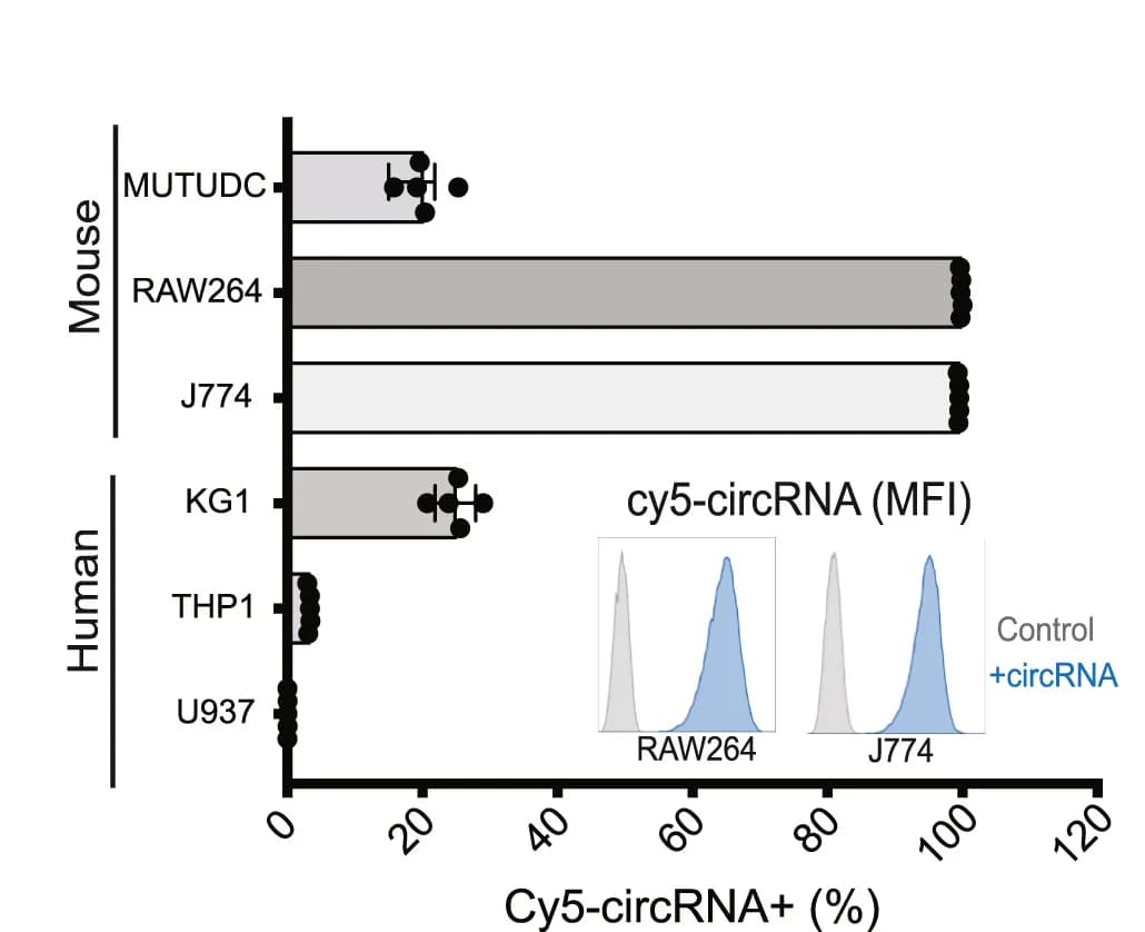 Open access visualization of Bar Plot, Error Bars, Density Plot, Fluorescently Labeled Cells, circRNA