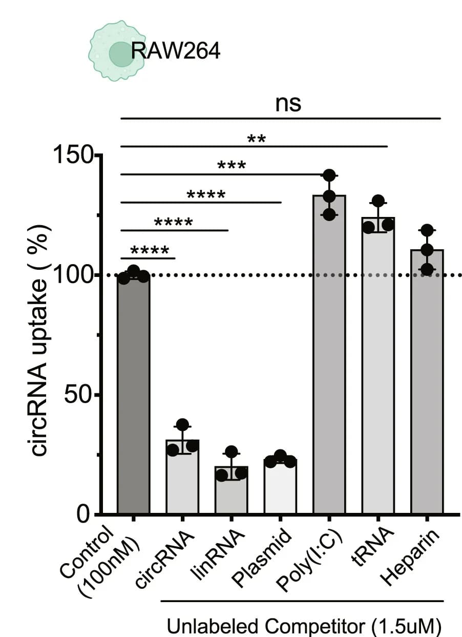 Open access visualization of Bar Plot, Error Bars, Competitor Assay, circRNA, RAW264 Cells