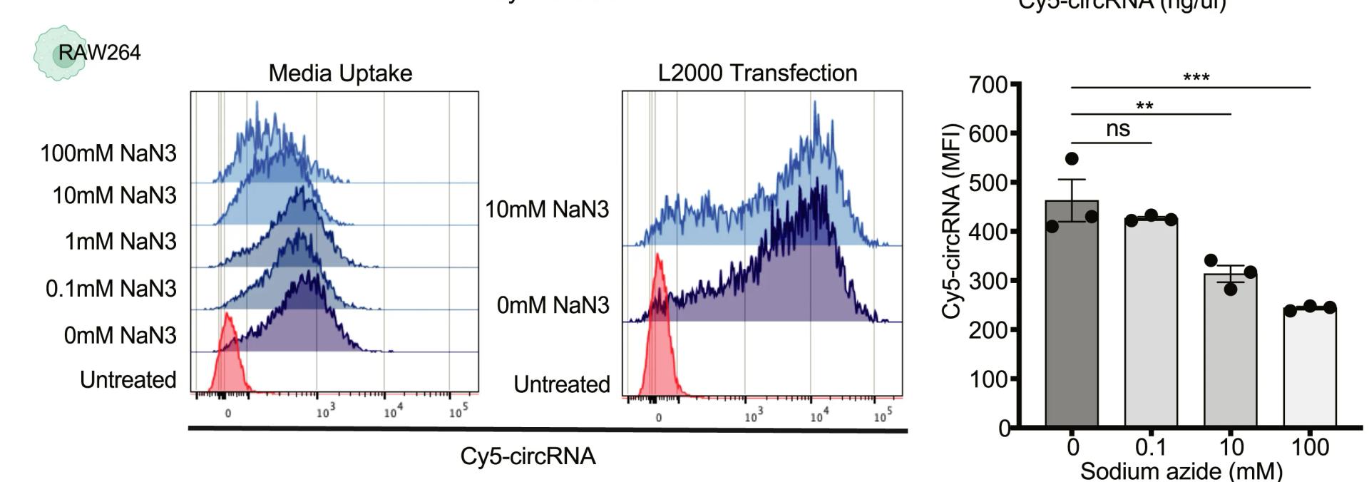 Open access visualization of Histogram, Bar Plot, Error Bars, Sodium Azide, circRNA