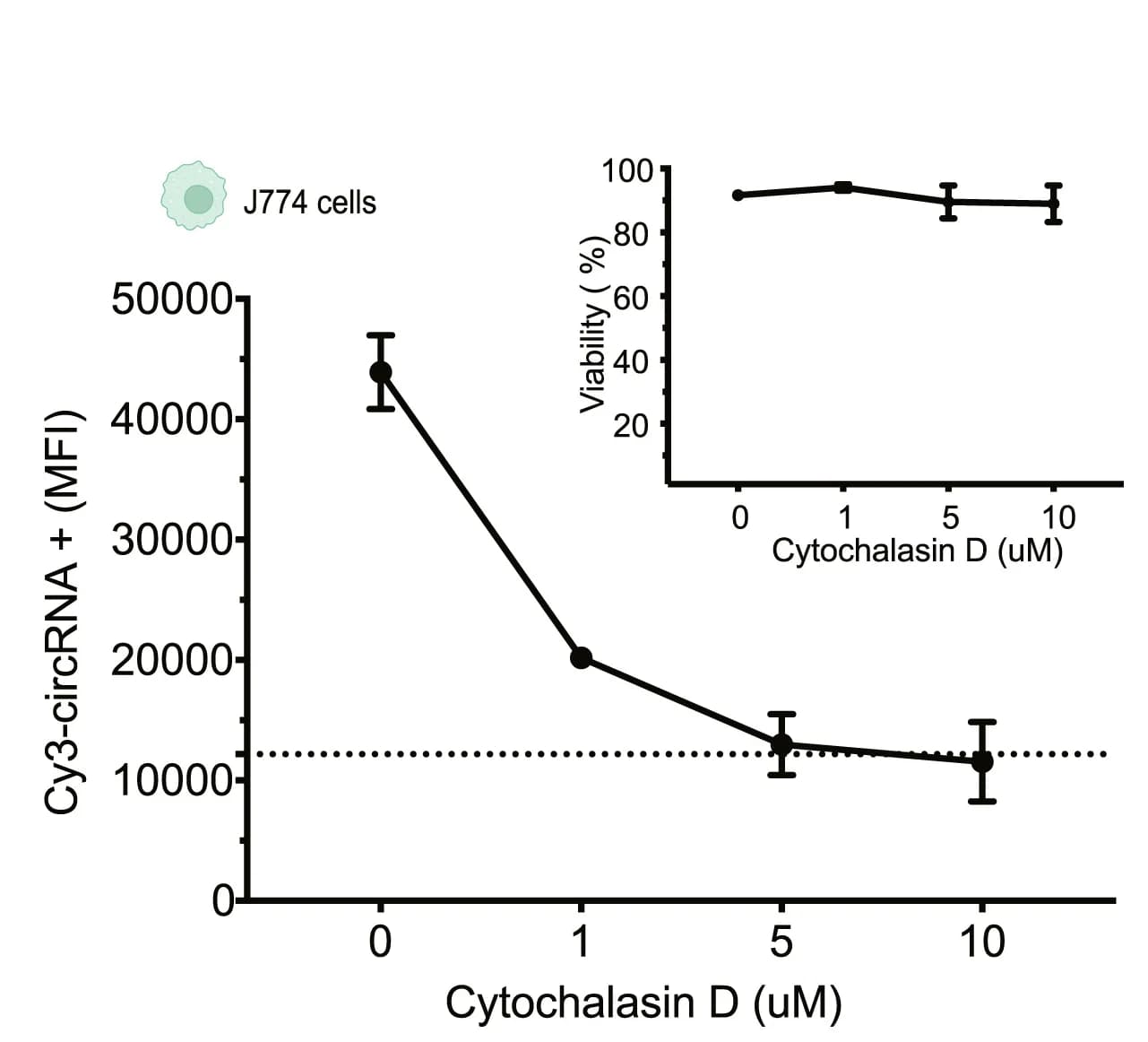 Open access visualization of Line Plot, Error Bars, Cytochalasin D, circRNA, J774 Cells