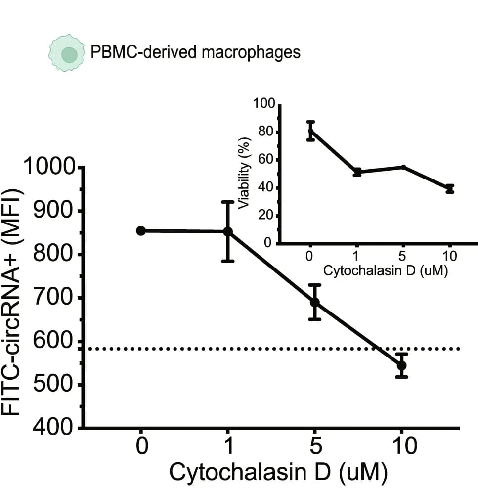 Open access visualization of Line Plot, Error Bars, Cytochalasin D, circRNA, Macrophages